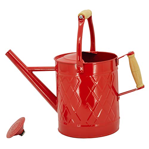 HORTICAN 1 Gallon Watering Can, Red Watering Can, Metal Watering Can with Removable Spout, Galvanized Watering Can, Perfect Plant Watering Can for Indoor Use and for Outdoor Use