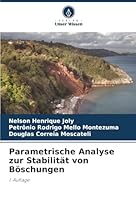 Parametrische Analyse zur Stabilität von Böschungen (German Edition) 6202370599 Book Cover