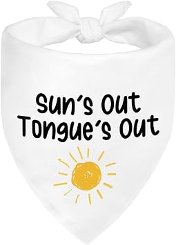 Funny Outdoor Dog Bandana, Puppy Scarf Photo Prop for Outdoor Adventure Hiking Camping Mountain, Gifts for Ranger Sun