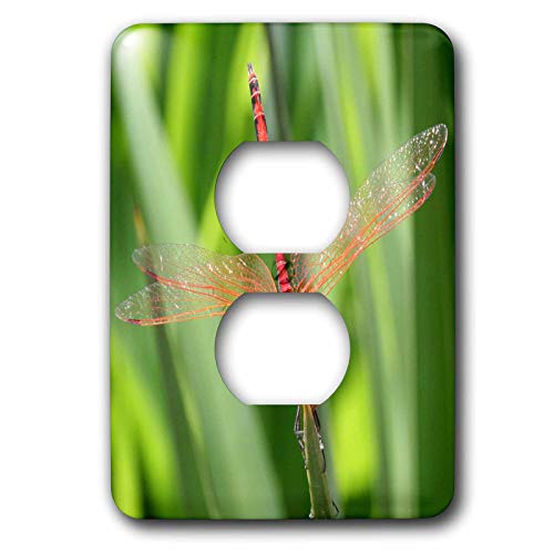 Couvercle de prise de prise insectes libellule 2 3dRose cache mural déco - 2