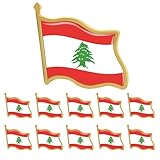 Pack of 6 Lebanon Flag Pins Bulk- Metal National Lebanese Flag Lapel pin support gifts