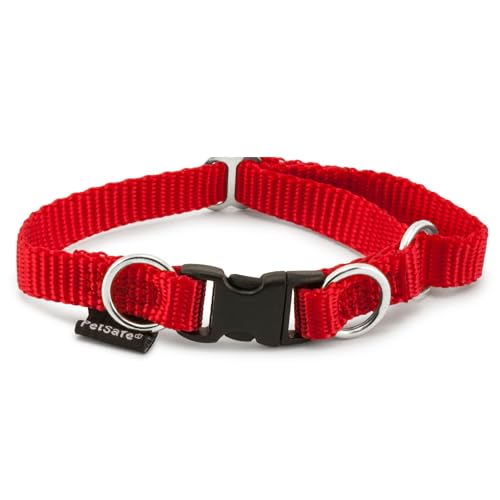 PetSafe KeepSafe Collar for Dogs - Protects Against Collar Accidents - Long Lasting - Durable - Adjustable - Breakaway - Outdoor-Safe - Small - 3/4 In. Wide - Red