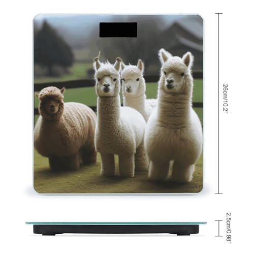 Balanza digital Alpaca Family para baño con vidrio templado miniatura 2