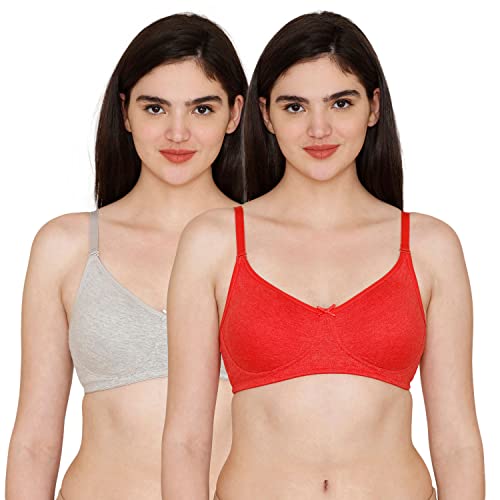 Image of Rosaline Cyber Grove Everyday Double Layered Non Wired 3 /4th Coverage T-Shirt Bra (Pack of 2) for Women - Red Grey