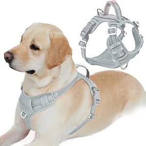 BARKBAY Dog Harness No Pull with ID Tag Pocket – Heavy Duty, Reflective, Easy Control for Large Dogs(Grey,L)