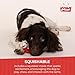 Multipet Lamb Chop Dog Plush Toy - Squeaky Toy for All Dogs - Extra Soft Plush - Stuffed Animal Dog Toy for Cuddling & Playing - Cute Pet Toy (6