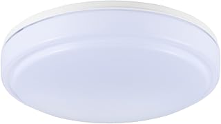 欧姆(OHM)LED内玄关灯 日光色 [产品编号]07-9902 LT-Y18D-G