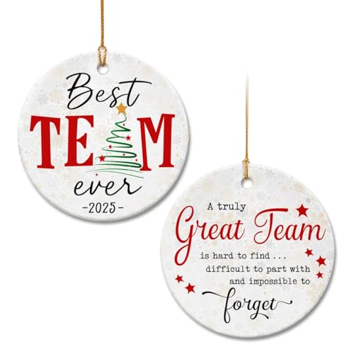 Best Team Ever Ornament 2025 - Coworker Christmas Ornaments - Team Gifts for Employees, Staffs, Colleagues, for Work Team, Appreciation Thank You Gifts for Team Members at Work