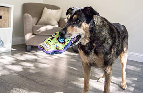 Godog Sugar Skulls With Chew Guard Technology Squeaker Dog Toy, Green, Large (094347) #TOP4