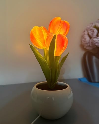 LDJDSDS Tulip Flower Table Lamp Pink LED Desk Night Light with Vase Artificial Flower Decor for Bedroom Living Room Elegant Centerpiece for Wedding Birthday Party Home Decor Gift