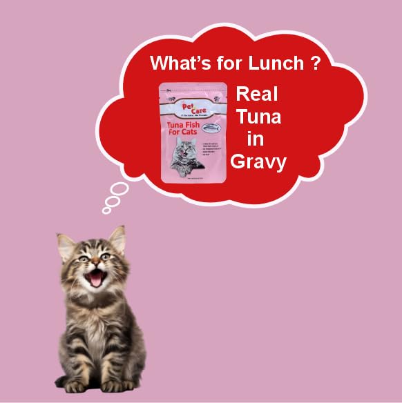 Image of Wet Cat Food, Pure Tuna Fish Meal (Pack of 12) | Wet Food for Kittens | All Life Stages