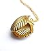 sameno 2018 fashion New Seashell Locket Pendant Gold Locket Gold Brass Sea Shell Necklace (Gold)