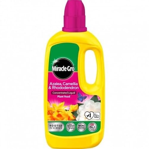 Miracle-Gro Ericaceous Liquid Plant Food 800ml – NPK 7-3-5 – For Acid-Loving Plants Like Azalea, Rhododendron, Camellia & Blueberries – Feed Every 2 Weeks for Healthy Growth