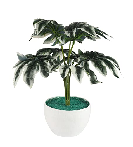 Image of FOLIYAJ Real Look Artificial Spidersweb Plant with Pot Bonsai Tree Home Decor for Living Room Office Shop House Gift Decoration 18 cm x 18 cm x 30 cm