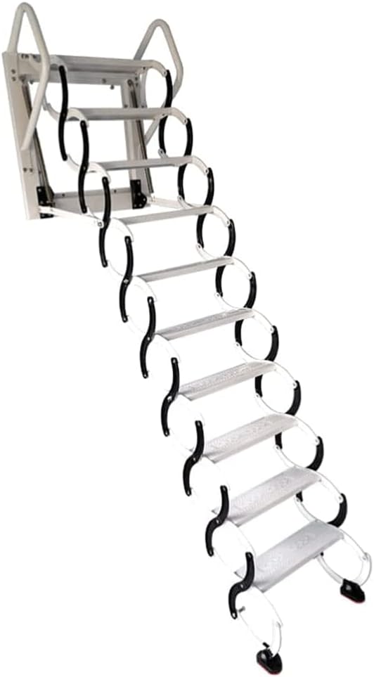 kearny desmond (light brown) 常田大輝 井口理 プロフィール | King