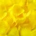 Silk Fabric Flower Mini Rose Petals for Weddings (1000 Pieces) (Yellow)