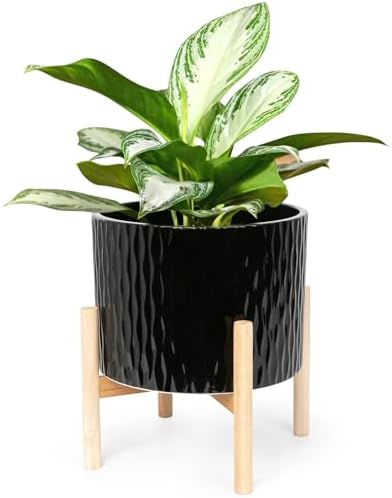 LaDoVita Ceramic Plant Pot with Stand, 10 Inch Planter with Wood ...