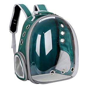 Schouder Draagbare Ademend Huisdier Back Tas Kat en Hond Outdoor Reizen Groen