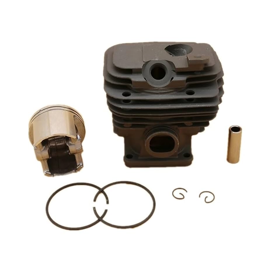 ロビン SHINE50点 51QoCMG1pfL.jpg_BO30,255,255,