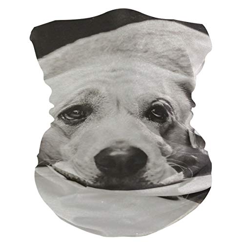 Hengpai - Polainas para el cuello del hombre, pasamontañas, máscara de pasamontañas, juego de tronos, dragón fuego, color Multi9, tamaño talla única