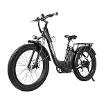 Electric Bikes Fenders