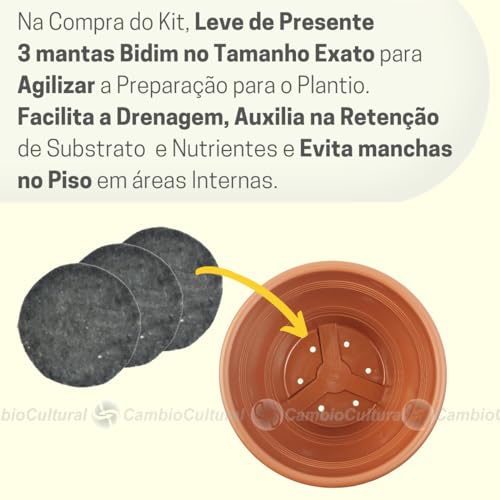 03 Vasos de Plantas Médio Cuias N23 com Pratinhos Correntes Ganchos e Mantas de Drenagem Cor:Marrom