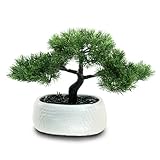 Photo Gallery goviraye bonsai pino artificiale vaso ceramica bianca - pianta finta mini realistica con pietre, decorazione tavolo casa/ufficio, resistente ai raggi uv, ideale regalo (24cm) Photo Gallery goviraye bonsai pino artificiale vaso ceramica bianca - pianta finta mini realistica con pietre, decorazione tavolo casa/ufficio, resistente ai raggi uv, ideale regalo (24cm)
