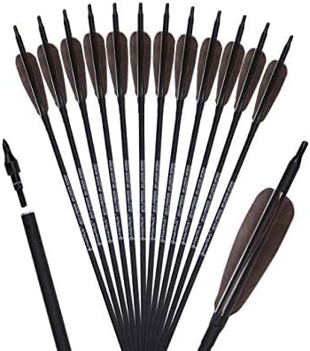 PANDARUS Archery 31-Inch Carbon Hunting Arrows, Turkey Feather Fletching with Replaceable Points, Targeting Practice Arrows Spine 500 for Recurve Bow, Longbow, Traditional Bow (Black)