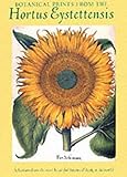 Botanical Prints from the Hortus Eystettensis: Selections from the Most Beautiful Botanical Book in the World