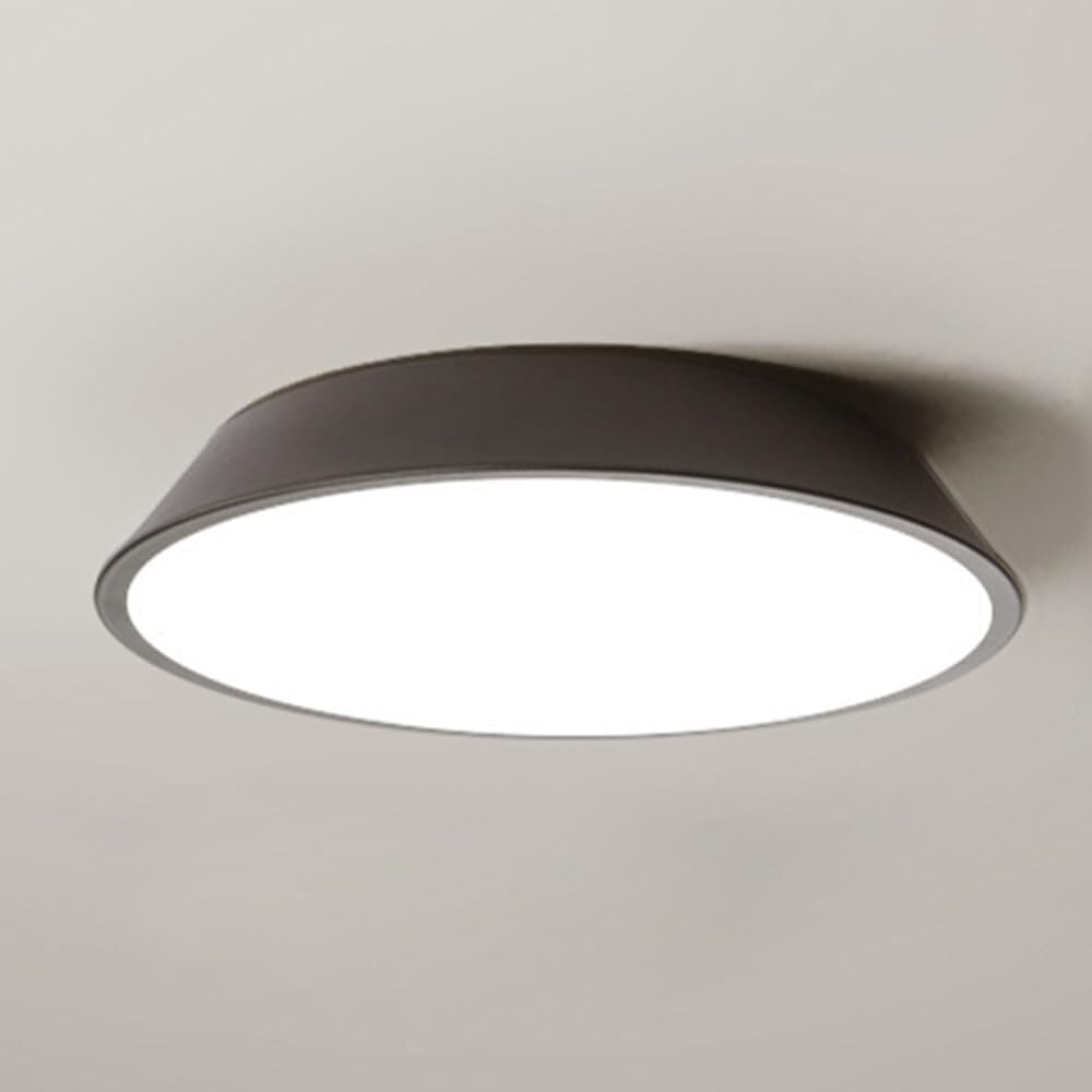 Modern LED Ceiling Light, Minimalist Metal Flush Mount Ceiling Light Fixture, 3-Color Mode, Circle Lighting Lamp with Acrylic Lampshade for Bedroom Laundry Room Hallway (White)