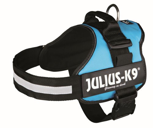 Julius-K9 162AM-2 Pettorina K9, Acquamarina