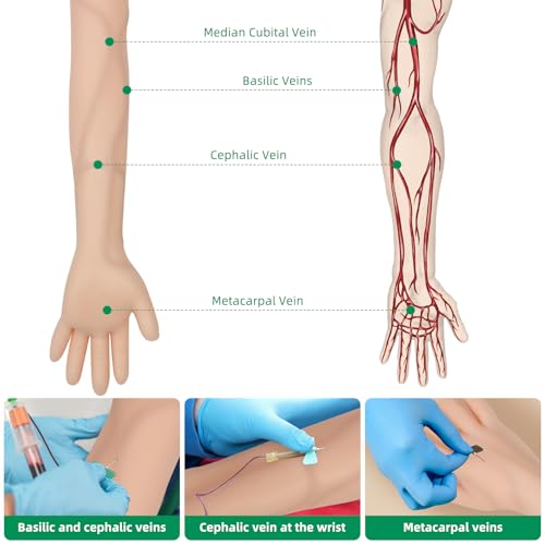 Image of Phlebotomy Practice Kit 31PCS for Injection Training, IV Practice Kit for Nurse with Phlebotomy Arm, Venipuncture and Blood Draw Practice Kit for Medical Students, Education Training Only