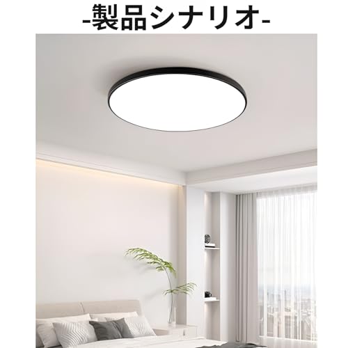 [Blopobuyi]LEDシーリングライト 防湿 防塵 防虫 浴室灯 薄型 防水 キッチンライト 廊下 玄関 室内照明 調色機能付き 高透過率 目に優しい 錆びにくい 住宅 店舗 オフィス用 円形 天井照明 白い光が差し込む黒い縁取り [並行輸入品] [4]
