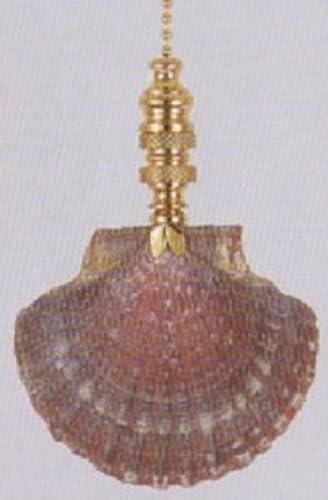 Mexican Flat Sea Shell Ceiling Fan Pull, 3"h with 12" Polished Brass Chain