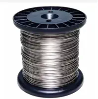 Fio de Aço Inox 0,70mm para Cerca Elétrica, Amarrações, Artesanatos e Uso Geral – Alta Resistência, Anticorrosão, Durável para Instalações e Fixações