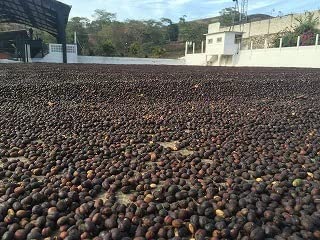 R[q[ 1kg OAe} IGe i` R