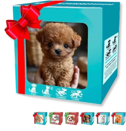 2025NV^ AI A q^ybg{bg ƒp{bgbsEiEIb/q MtgΉ (uE1)