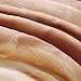 LGYKUMEG Korean Mink Blanket Fleece Blanket for Winter,9 Lbs -2 Ply Heavy & Warm Korean Style Bed Blanket 79