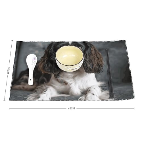 Set de table en toile infroissable pour protéger la table lot de 6 - 3