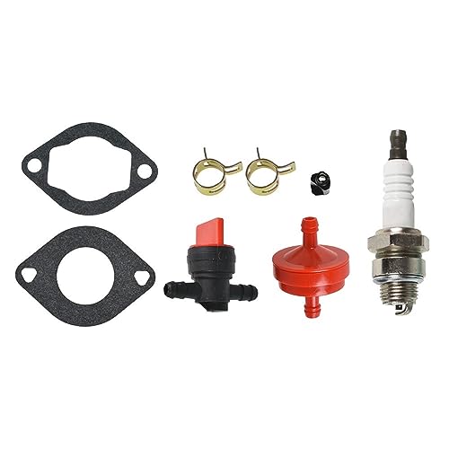 Carburador para cortacésped Para Briggs Stratton 286702 286707 289702 289707 carburador accesorios de carburador carburador