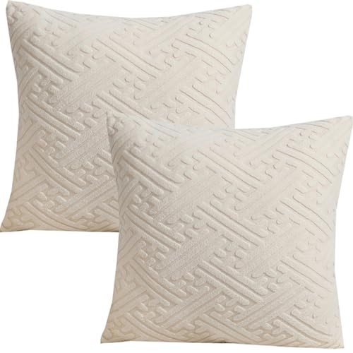 枕カバーを投げる 45x45 2 つの正方形のソファのクッション カバーのセット、装飾的なクッション カバー 40x60 50x80 長方形の投球枕カバー、家のためのクッションケース(Beige,40x40cm(Set of 2))