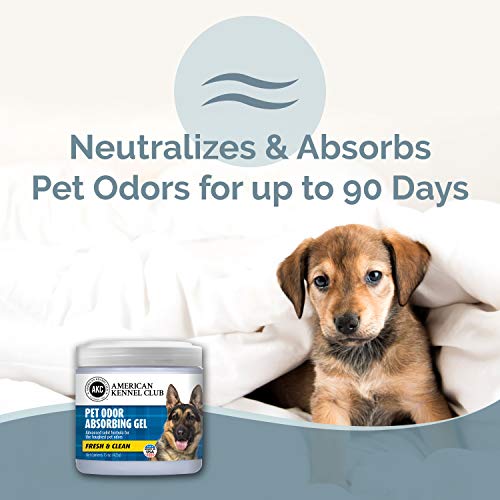 American Kennel Club 81616 Smells Begone Pet Odor Absorber Gel thumb #1