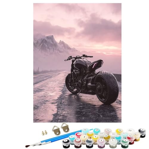BEIJUYHU Dipingere con i Numeri Adulti Motociclo Paesaggio, DIY Quadri da Dipingere Numerati Bambini Principianti Kit Pittura, 36 Colori Acrilici e 3 Pennelli, Decora Signora Regalo 30x40cm BJHWK992