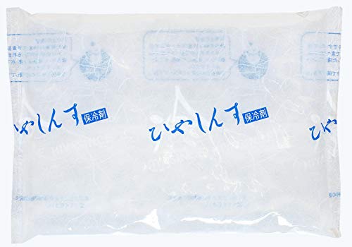 cX ۗ iCNA500 36P[X̔