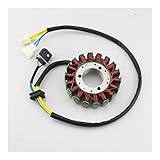 Motorrad Magneto Stator ， verbessert effektiv die Ladekapazität, starke Leistung, einfaches Starten bei niedriger Geschwindigkeit.