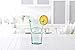 Amici Home Water Tap Hiball Glass | 16 Oz | Italian Made, Recycled Glass with Green Tint | Drinking Glass with Embossed Design for Water, Juice, Cocktails (Set of 4)
