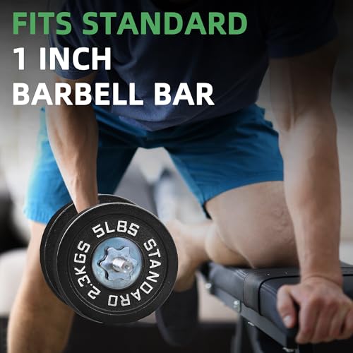 Fitvids Cast Iron 1-Inch Standard Weight Plate for Strength Training & Weightlifting, Multiple Weights Available, 5LB (Set of 4)