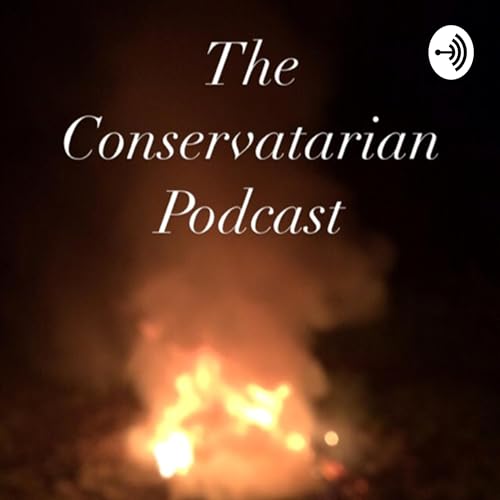 You Have Tested Positive- My Experience with Covid Podcast Por  arte de portada