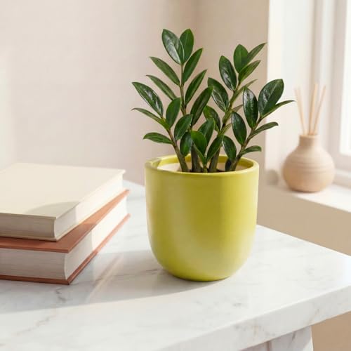 Image of ecofynd 5 Inch Ceramic Plant Pots with Drainage Hole, Modern Decorative Clay Flower Pots for Indoor Plants, Home Garden Decor for Living Room, Bedroom & Interior Spaces (CPOT041-LGN)