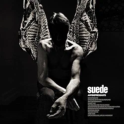 Trance State - Suede